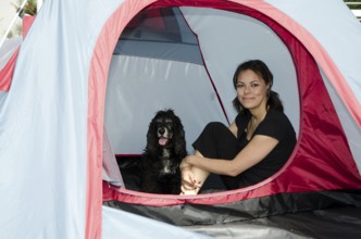 Woman Sitting Inside a Camping Tent with Her Cocker Spaniel Dog in a Sunny Summer Day in
