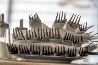 Cutlery with forks and knives, symbol for gastronomy, service, hospitality Austria
