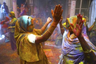 Widows celebrating Holi festival Gopinath temple, Uttar Pradesh, India, Asia