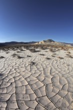 Dawn in Death Valley. Dry brush on white cracked soil. Rhotograph Fisheye lens