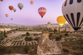 Hot air balloons in Cappadocia, Turkey, Asia