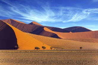 The Namib-Naukluft park at sunset. Sharp border of light and shadow over the crest of the dune. The