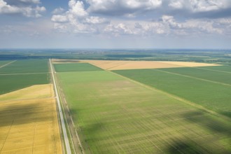 Aerial view of agricultural fields. Countryside, Agricultural Landscape Aerial view