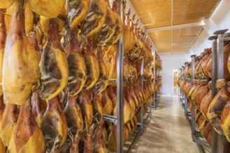 Spanish ham cellar. Food industry