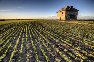 Sunset Light Saskatchewan Farm abandoned Stone House