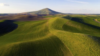 Steptoe Butte State Park is up there somewhere on top of the bluff surrounded by Palouse Country
