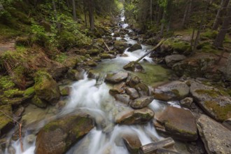 Forest stream in Alps mountains at spring, long exposure