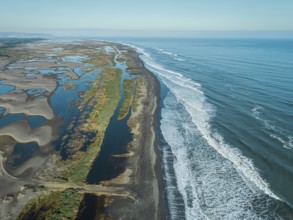 Whetland nea ocean in seventh region Maule in Chile