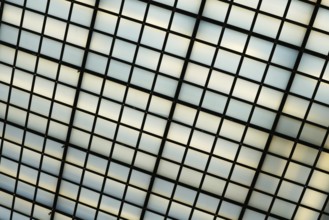 Glass roof construction to capture daylight