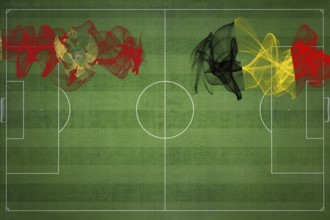 Montenegro vs Belgium Soccer Match, national colors, national flags, soccer field, football game,