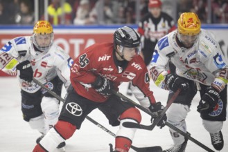 LanxessArena, Cologne, North Rhine-Westphalia, Kevin Niedenz (Cologne Sharks, #46), Dominik Uher