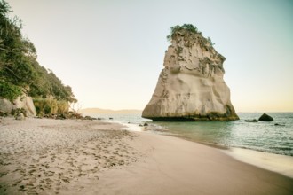Amazing Te Hoho Rock at sunset, Cathedral Cove Marine Reserve, Coromandel Peninsula, New Zealand,