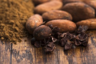 Cacao beans and cacao powder in spoon