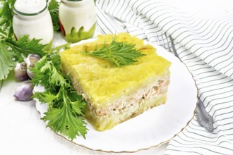 Mashed potato casserole with salmon fillet and lettuce in a plate, kitchen towel, garlic on a