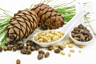Cedar nuts in two spoons, two pinecones and green branches on a light wooden board background