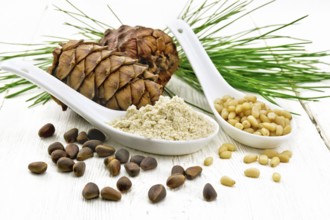 Cedar flour and peeled nuts in two spoons, two cones, a green cedar branch on a wooden board