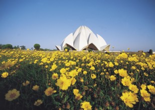 Lotus temple, delhi, india, asia