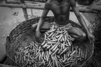 Man selling carrots, Rajarhat, West Bengal, India, Asia