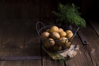 A fresh and tasty new small potatoes