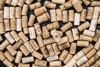 Budva, Montenegro - 21 august 2020: Close-up of collection of wine bottle corks with lettering