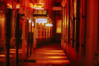 Night view of Austria Vienna. Shooting Location: Austria, Vienna