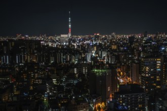 Sky tree visible from the Bunkyo Civic Center. Shooting Location: Tokyo metropolitan area