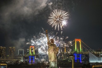 Tokyo night view and fireworks (Odaiba Rainbow fireworks 2019). Shooting Location: Tokyo