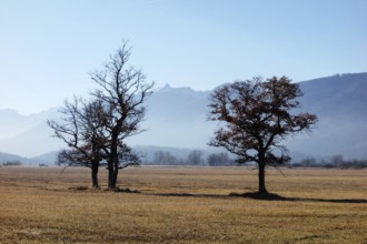 Murnau moos moor bavaria blue land pfaffenwinkel germany landscape nature reserve hiking recreation