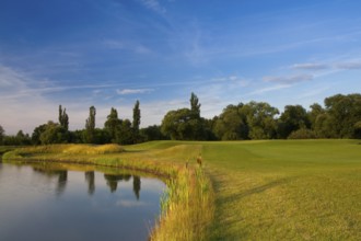 Evening on a empty golf course