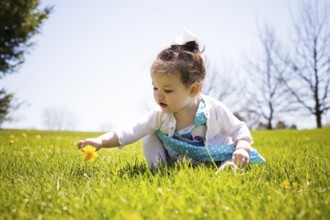 Pretty little girl playing in the grass during summer, Toronto, Canada, North America