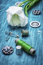 One white tulip and buttons with threads on turquoise wooden background