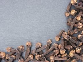Cloves spice on gray slate background with copy space. Isolated one edge. Top view or flat lay