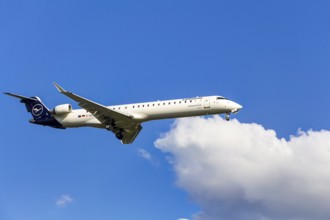 Lufthansa CityLine Bombardier CRJ-900LR im Landeanflug auf den Flughafen Frankfurt am Main,