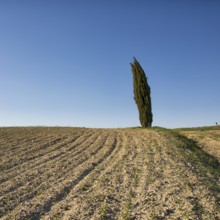 The Crete Senesi are one of the most famous areas of Tuscany