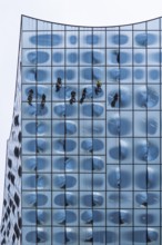 People working as window cleaners on the striking glass façade of a tall building, Elbphilharmonie,