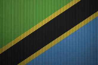 Tanzania Flag painted on the cracked grunge concrete wall