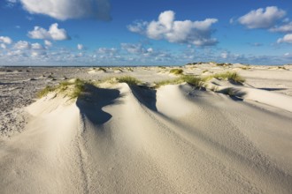 Landscape with dunes on the island of Amrum