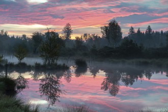 Foggy dawn in the Wenger Moor, an upland moor in Salzburger Land, Austria, Europe