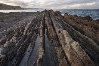 Coast landscape of famous Flysch in Zumaia, Basque country, Spain. Famous geological formations
