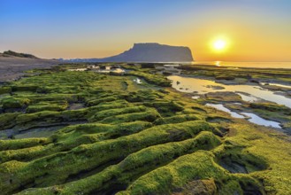 Sunrise at Seongsan Ilchulbong, Jeju, South Korea, Asia