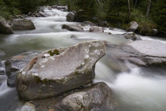 Radlbach near Trebesing, Liesertal, Carinthia, Austria, Europe