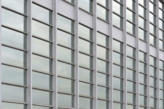 Big glass wall building
