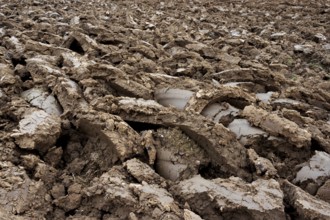 Ploughed field, clods of earth
