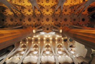 Barcelona, Spain - 15 December 2019: Sagrada Familia interiors - columns, vaults, stained glass and