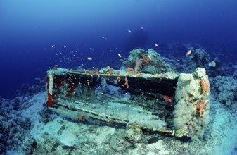 Jacque Cousteau's shark cage, Sudan, Africa, Red Sea, Shaab Rhumi, Africa