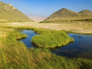 Landscape in Oman, mountains, Wadi Ashawq, road, reeds, waters Salalah, Al Mughsyal / Wadi Ashawq,
