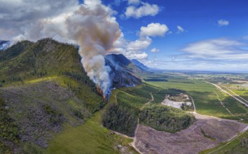 Landscape in South Africa, forest fire, fire, smoke, flames, burning forest, N2, Kou-Kamma Ward 6,