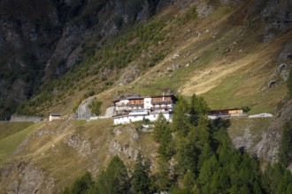 Mountain hut on a grassy slope, surrounded by forest and mountains, sunny day, moss in Passeier,