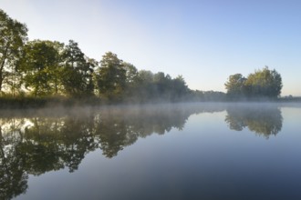 Guttau pond area in Upper Lusatia, at sunrise.morning fog in Upper Lusatia, at sunrise