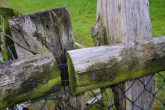 Close-up of a rustic wooden fence with moss and metal wire in a rural landscape